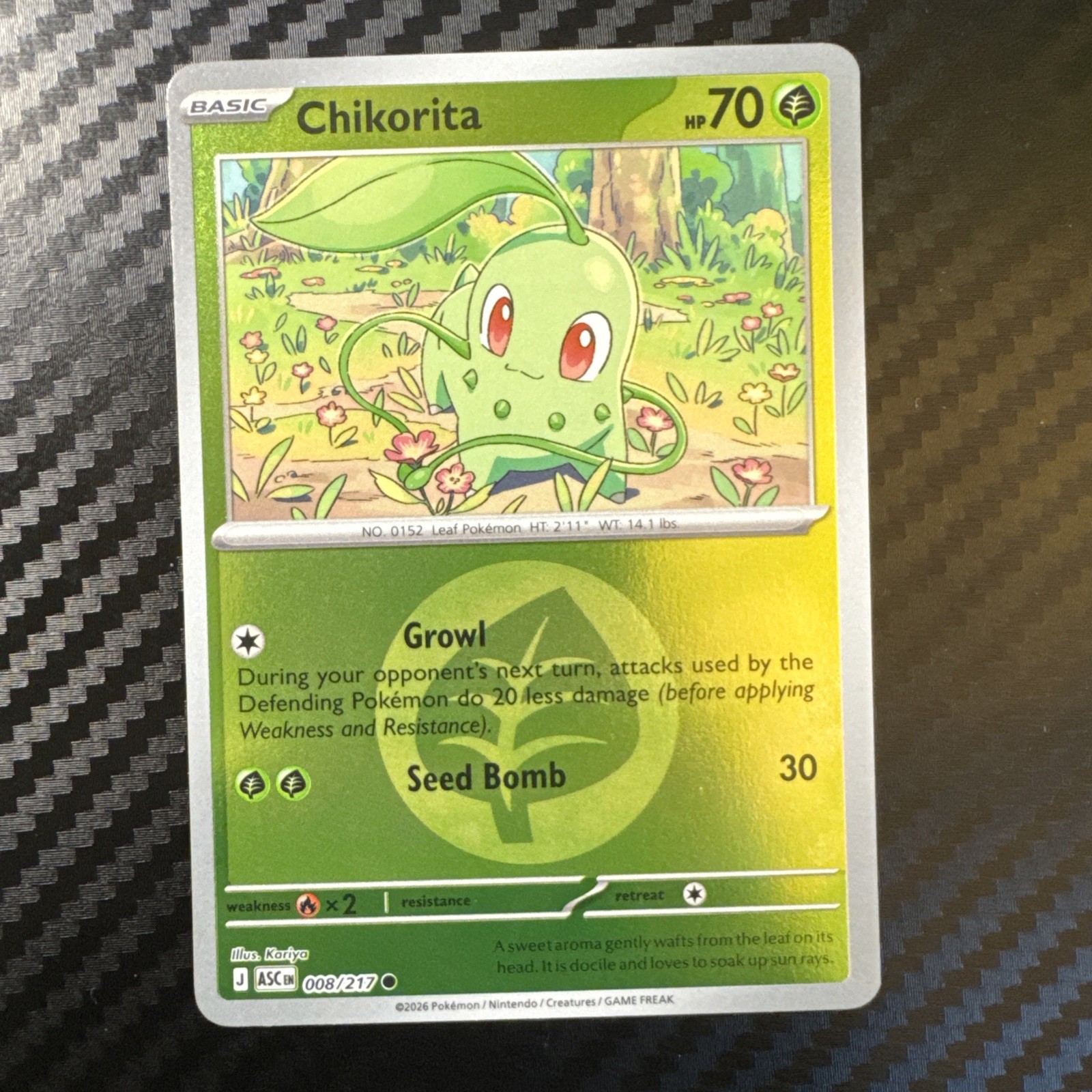Pokemon ME: Ascended Heroes Chikorita (Energy Symbol Pattern) Reverse Holo 8 NM