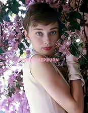 AUDREY HEPBURN #219 COLORIZED PHOTO 11 X 8.5 SHIPS FREE