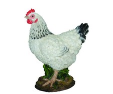 Vivid Arts - Black and White Hen Garden Decoration (XRL-CH47-D)