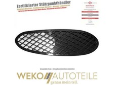 Lüftungsgitter, Stoßfänger links DIEDERICHS 1646047 für MERCEDES-BENZ