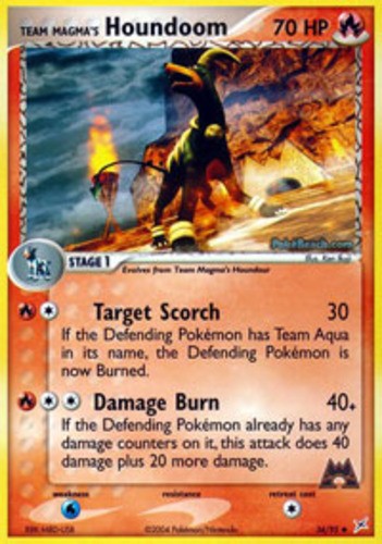 Team Magma's Houndoom