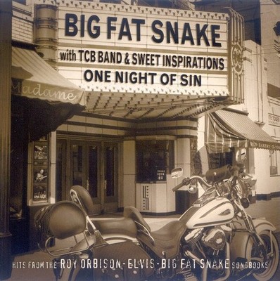 Big Fat Snake With The TCB Band & The Sweet Inspirations - One Night Of Sin (CD,