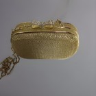 Gold Mesh,Y2K Retro-Chic Crystal Embellished Deco Bow Clasp, Xbody, Clutch — photo 4