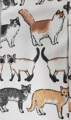 Set of 2 Same Printed Cotton Kitchen Towels (15"x25") MULTICOLOR CATS, SC - Picture 10 of 13