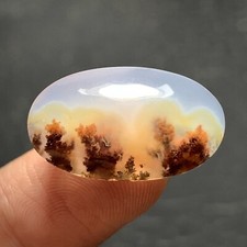 Tiny Scenic Moss Agate Cabochon 22x17.5x5.5mm High Quality 13 ct
