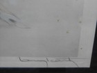 Foto 6 di 11