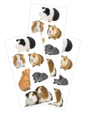 Guinea Pigs Stickers Planner Party Supply Papercraft Furry Pet Friends 