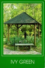 Ivy Green Helen Keller Birthplace Tuscumbia Alabama Postcard