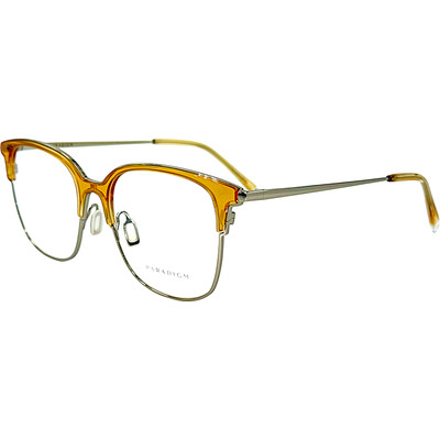 Paradigm 21 04 Unisex Metal Eyeglass Frame Mission 52-17