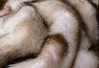 Bild 7 von 10