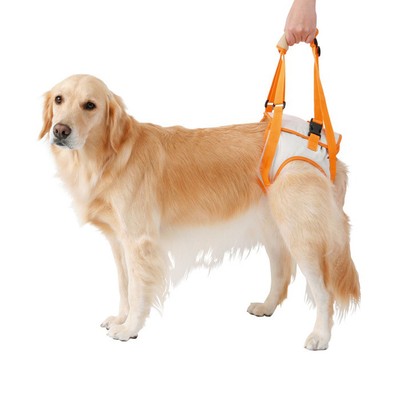 ebay dog harness
