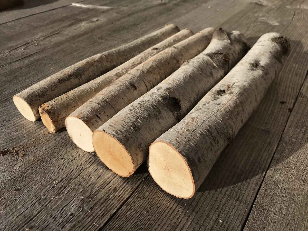 White Birch Logs, 5 count, 1-2 Inches Diameter, Approximately 11 Inches Long