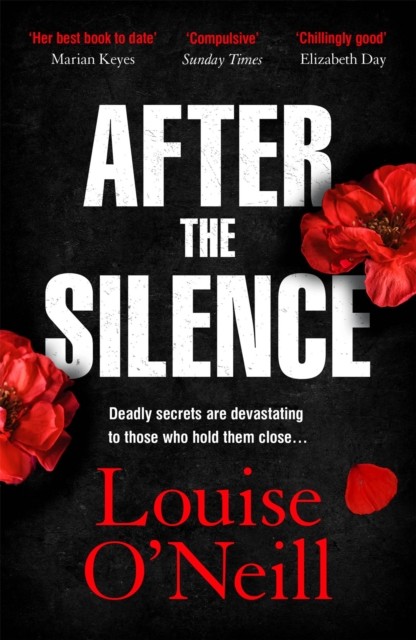 After the Silence by Louise O'Neill (Paperback Book)