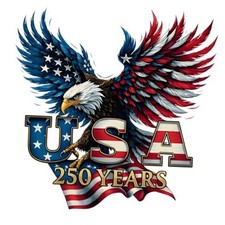 2pcs USA 250th Anniversary Merchandise - Patriotic 250th Year Vintage Style