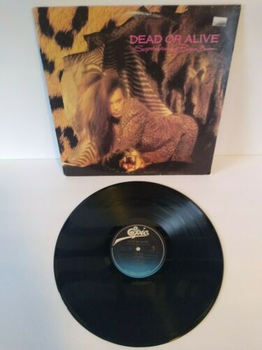 LP vinyle Dead Or Alive sophistiqué Boom Boom Record Synth-Pop New Wave 1984 - Photo 1 sur 3
