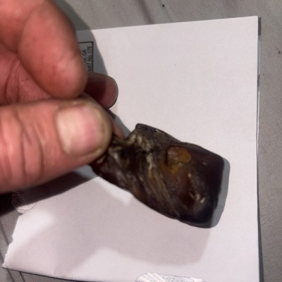 Ancient Baltic Amber - 50/60 MYO  -TWO Unidentified Insects Inside - 01177
