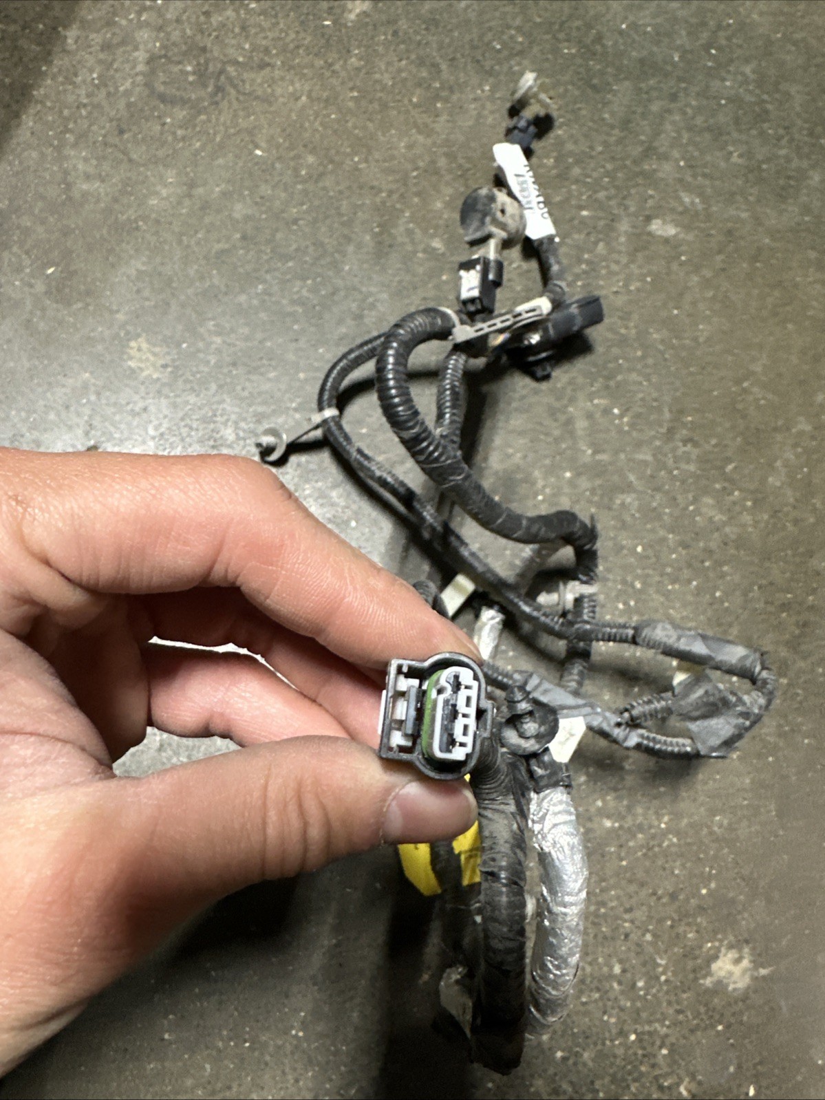 Picture 2