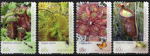 2013 Australia Carnivorous Plants Set Of 4 S/A Stamps Good To Fine Used