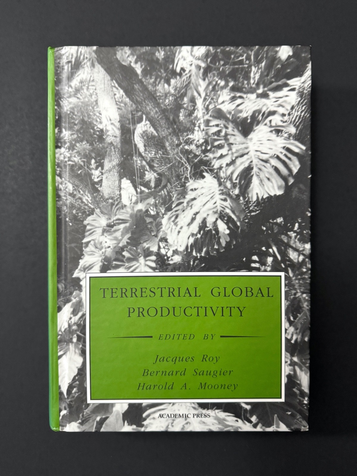 Physiological Ecology Ser.: Terrestrial Global Productivity by Harold A. Mooney