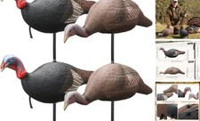 Hollowfly Collapsible Hen and Jake Combo Decoy for Hunting - Lightweight 4