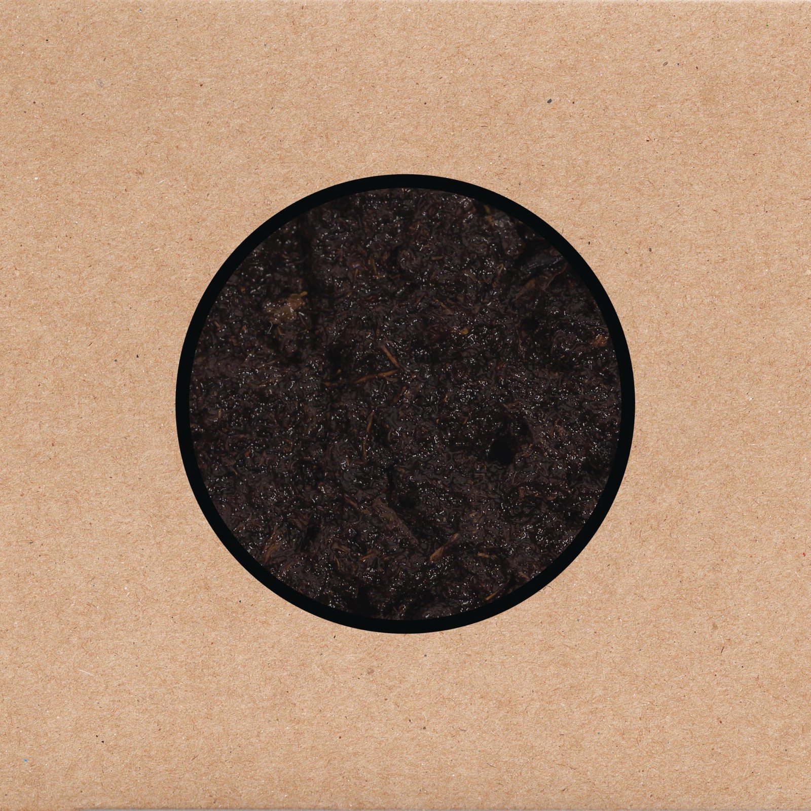 Swans Birthing (Vinyl LP)