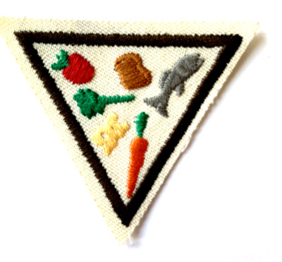 Girl Scout Brownie Try-It Retired EAT RIGHT STAY HEALTHY Badge Good Food 1999