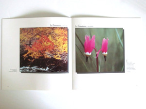 Mannheim Steamroller 1989-90 Yellowstone Music Of Nature Concert Program Booklet