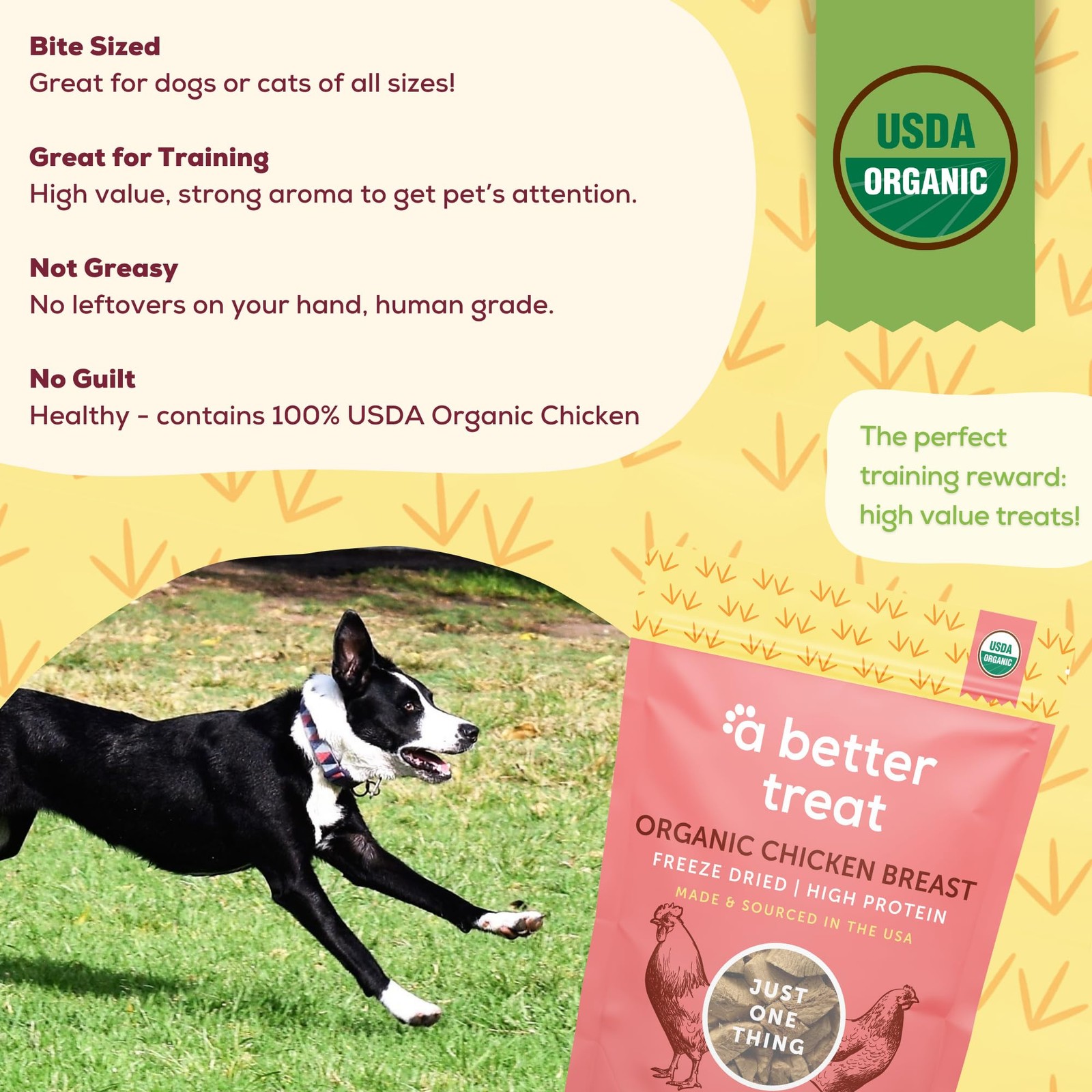 – Organic Freeze Dried Chicken Breast Dog Treats, Organic, Single Ingredient ...