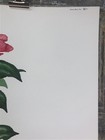 Bild 9 von 9