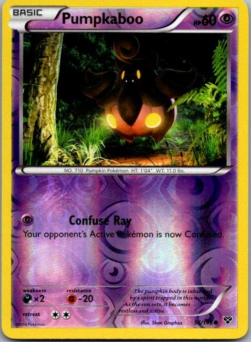 Pumpkaboo 56/146 Common XY Pokemon Reverse Holo Lightly Played
