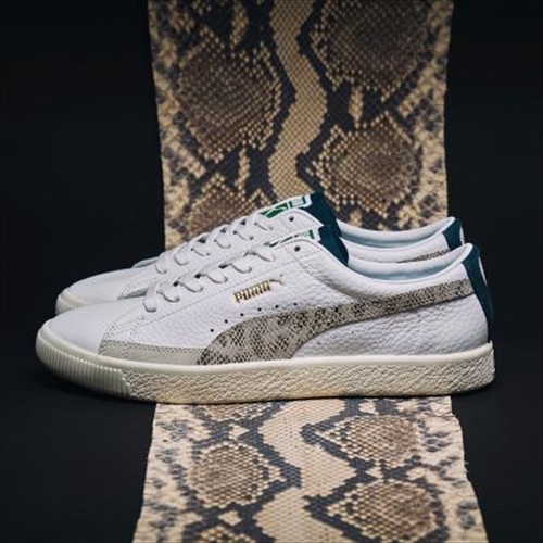 puma snakeskin