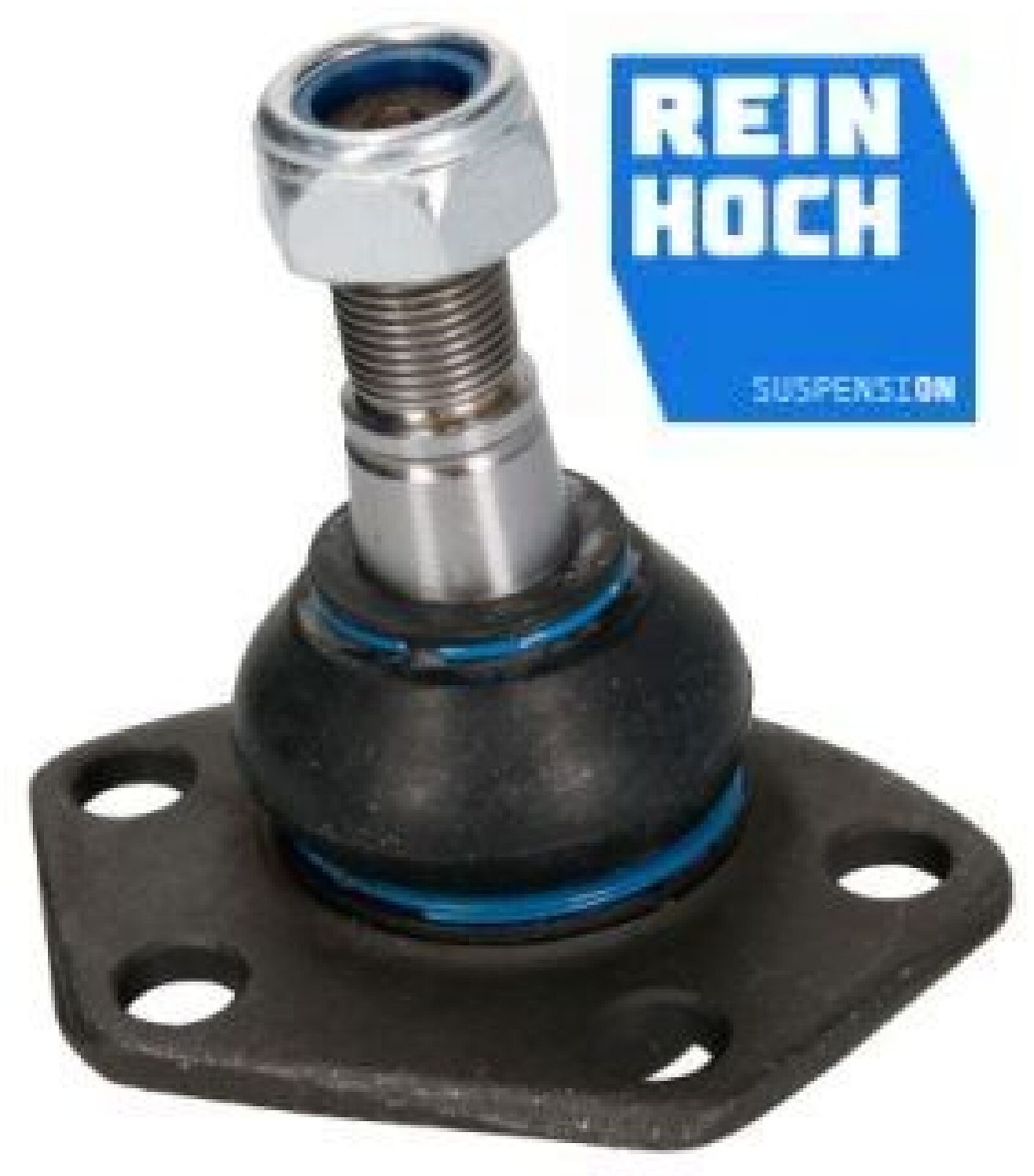 Reinhoch Traggelenk Rh03-2019 - Bild 2