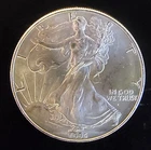 1995 American Eagle Toned Walking Liberty Bullion Vtg-0.999 Silver 1 Oz Coin 3s