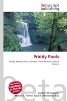 Lambert M. Surhone (U. A.) | Priddy Pools | Taschenbuch | Englisch (2026)
