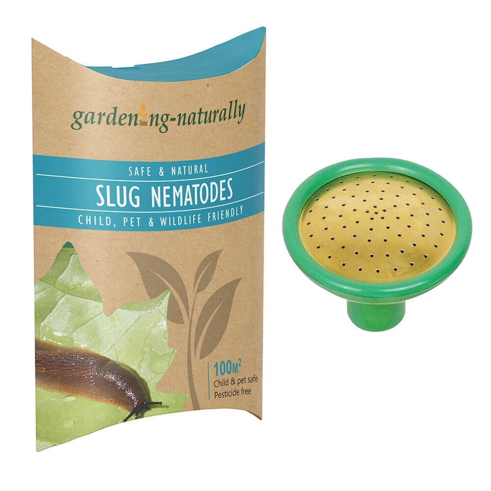 Slug Nematodes 100sq.m with Coarse Watering Can Rose Garden Pest Control