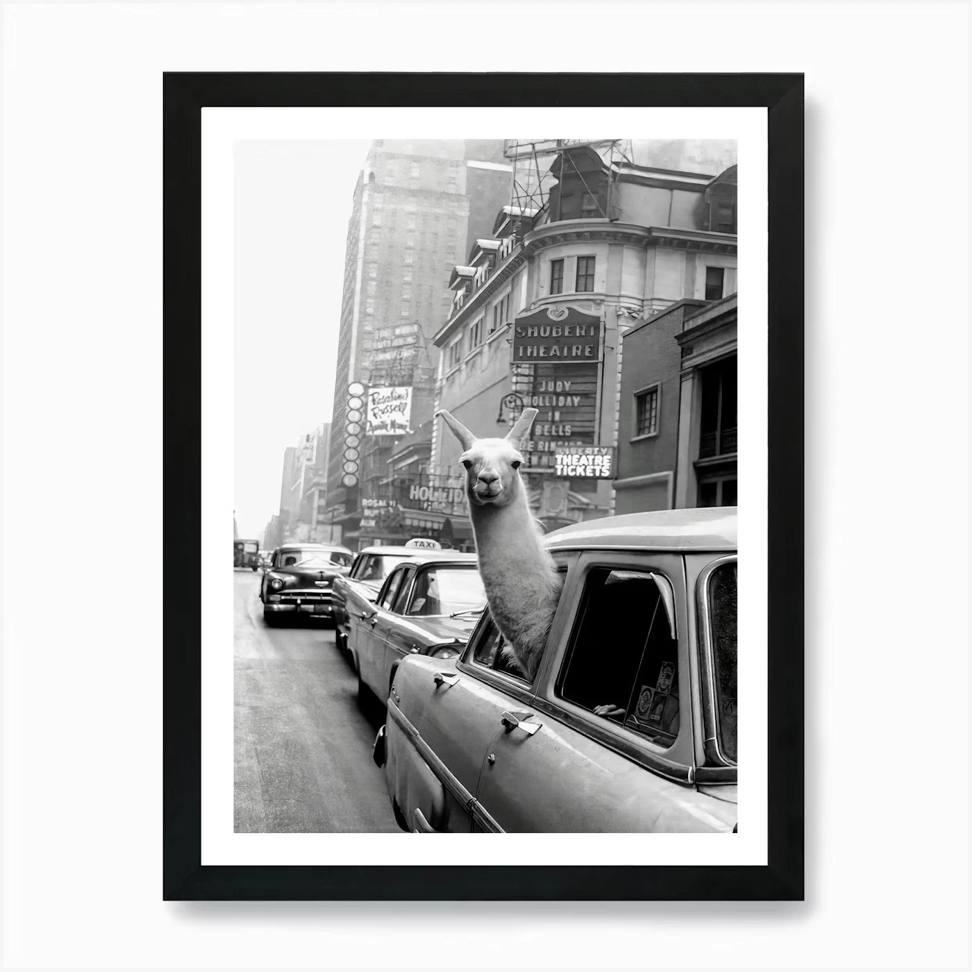 Llama in a Taxi, Black and White Vi Framed Wall Art Poster Canvas Print Picture