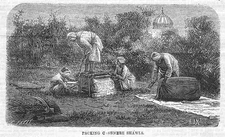 INDIA Packing Kashmir (Cashmere) Shawls - Antique Print 1863