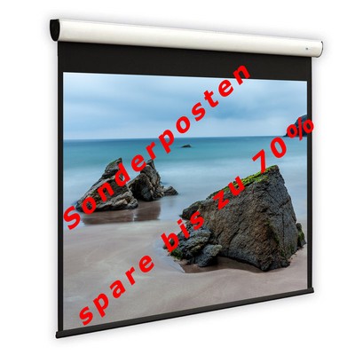 1:1 DELUXX Cinema Heimkino Beamer Motorleinwand 244 x 244 cm FULL HD 3D 4K HDTV