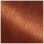 Garnier Nutrisse Ultra Rz4 Intense Bronze Red Hair Color for sale ...