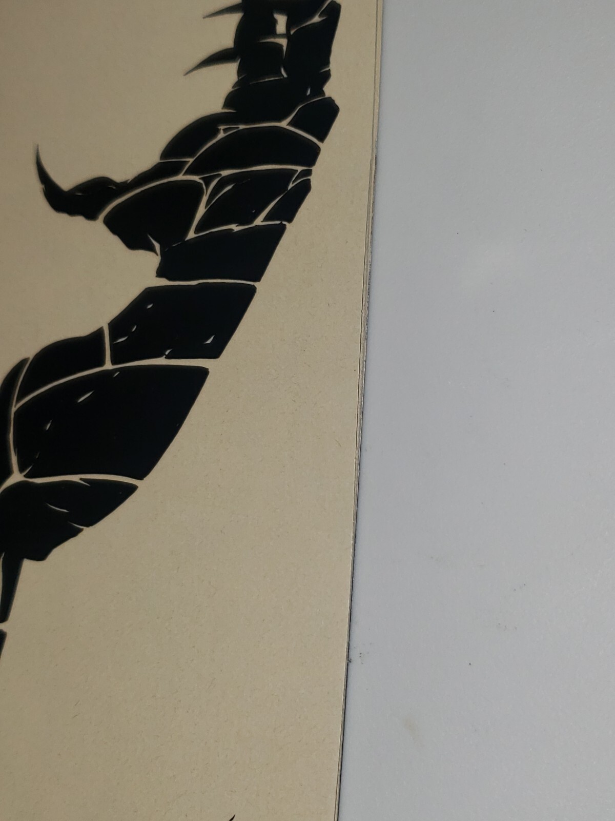 Picture 6 of 24