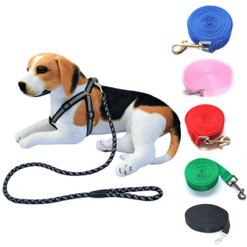 Pet Dog Puppy Lead Leash Collar Rope Strap Safety Harness Training Walking Rope - Picture 1 of 17
