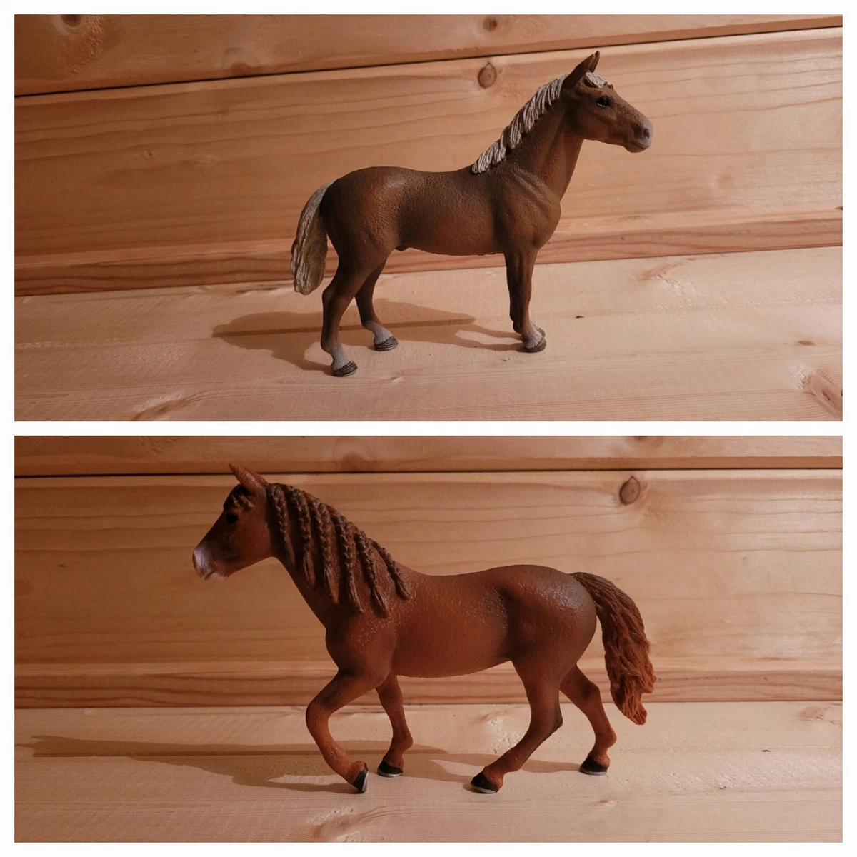 Schleich morgan horse cheap