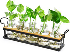 Plant Propagation Stations with Metal Stand, Tabletop Plant Terrarium for Propag
