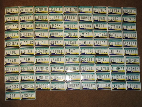 Vintage 1980's  Arizona Mini Bike Vanity Metal Name Pedal Car License Plate