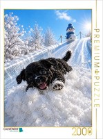 Calvendo Puzzle A Slippery Ride To Happiness | 2000 Pieces, Finished Size 35.4 ×