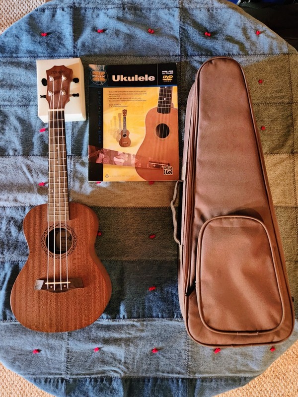 Music Model U21 Concert Mahogany Ukulele w/ Gig Bag, Extras And Lesson Book