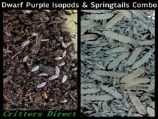 Springtail-Isopod Combo Package, By Critters Direct