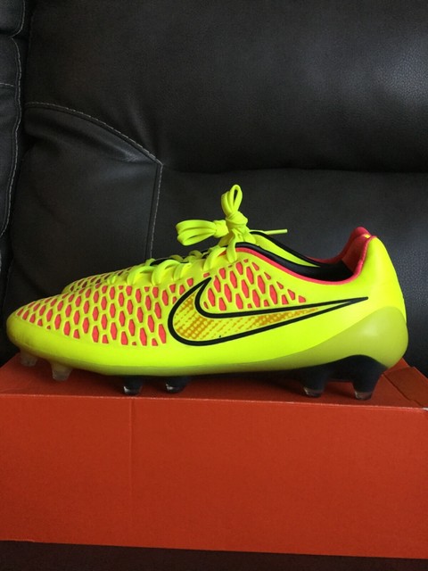 magista 2014