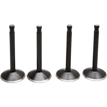 Kibblewhite Precision Black Diamond Valve Kit 20-22500 0926-3315 961956