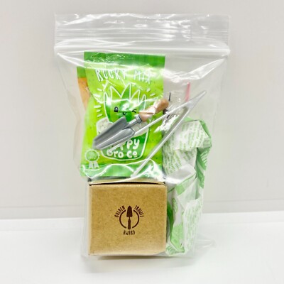 lotus succulent 4'' Echeveria White Lotus, Rare Live Succulent Plants